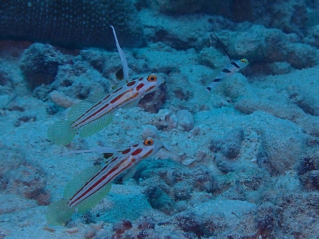 20151012165344.jpg 20151012165344.jpg