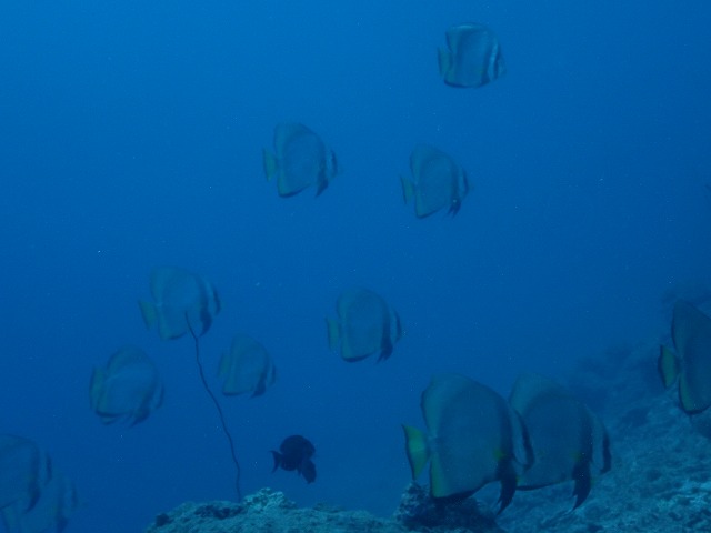 20151012165347.jpg 20151012165347.jpg