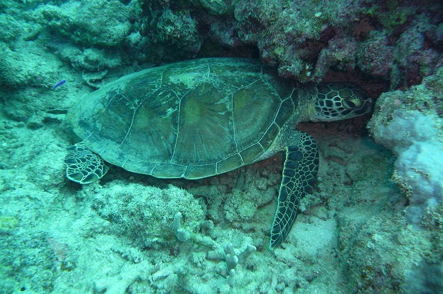 20151012165350.jpg 20151012165350.jpg