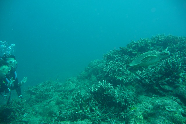 20151012165351.jpg 20151012165351.jpg