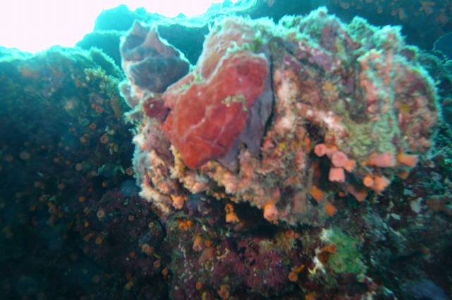 20151012165352.jpg 20151012165352.jpg