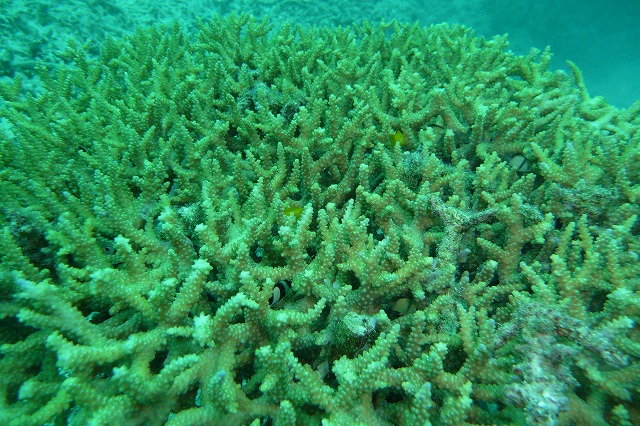 20151012165353.jpg 20151012165353.jpg