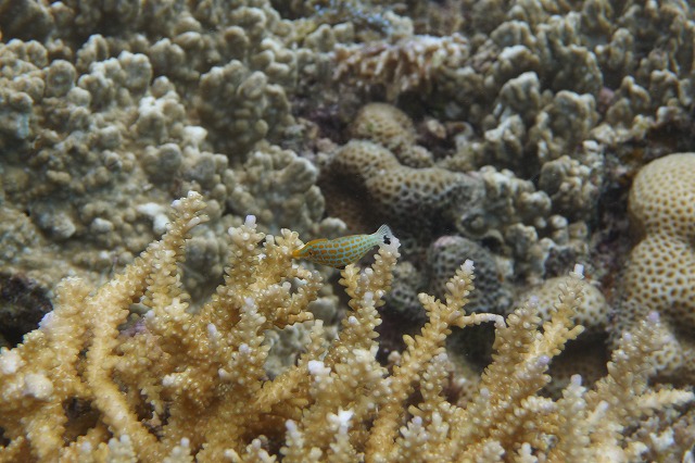 20151012165354.jpg 20151012165354.jpg