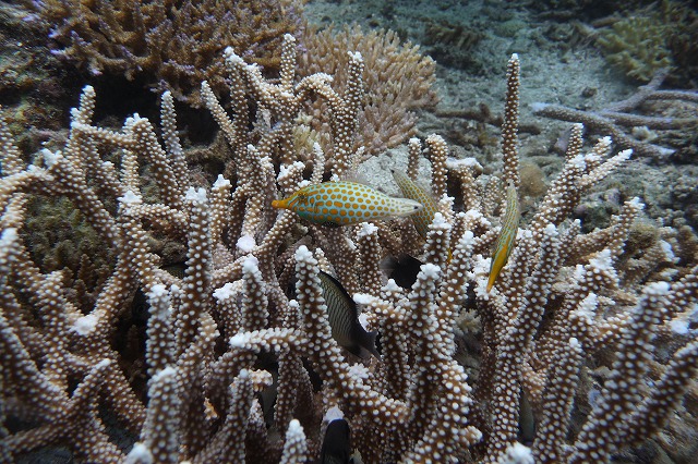 20151012165355.jpg 20151012165355.jpg