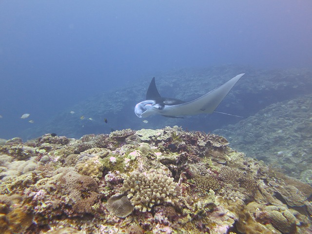 20151015175801.jpg 20151015175801.jpg