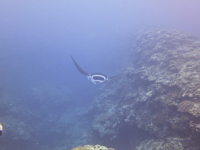 20151015175803.jpg 20151015175803.jpg