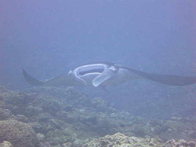 20151015175804.jpg 20151015175804.jpg