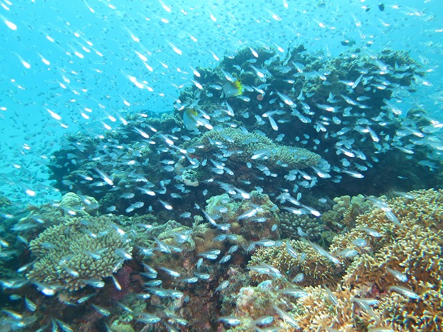 20151015175805.jpg 20151015175805.jpg