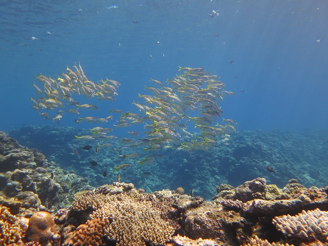 20151015175808.jpg 20151015175808.jpg