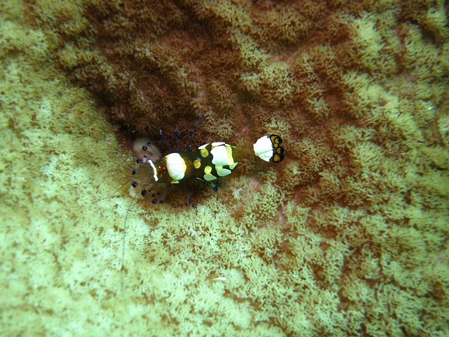 20151015175809.jpg 20151015175809.jpg