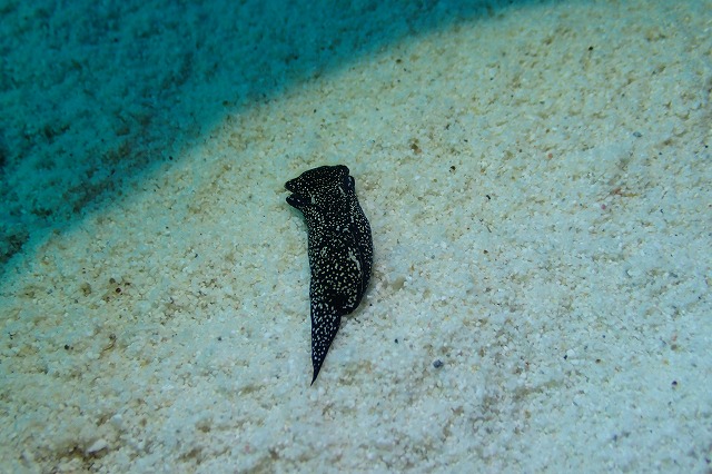 20151015175810.jpg 20151015175810.jpg