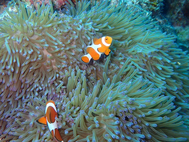 20151015175811.jpg 20151015175811.jpg