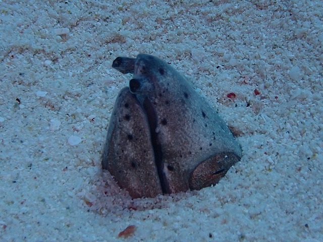 20151015175812.jpg 20151015175812.jpg