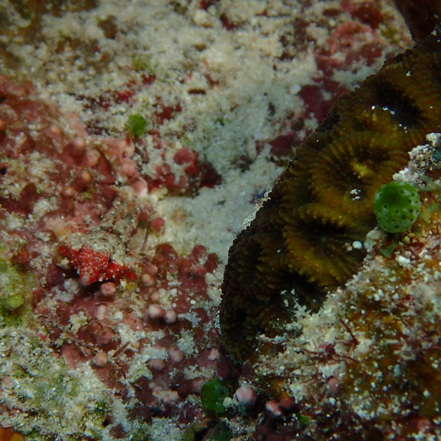 20151017145333.jpg 20151017145333.jpg