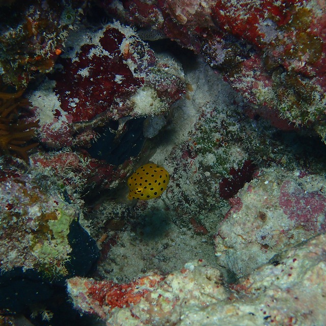 20151017145334.jpg 20151017145334.jpg