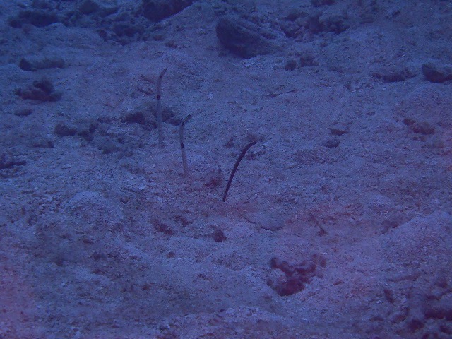 20151018165905.jpg 20151018165905.jpg