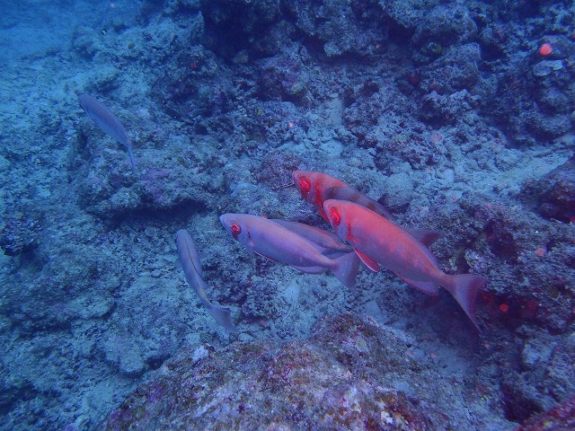 20151018165906.jpg 20151018165906.jpg