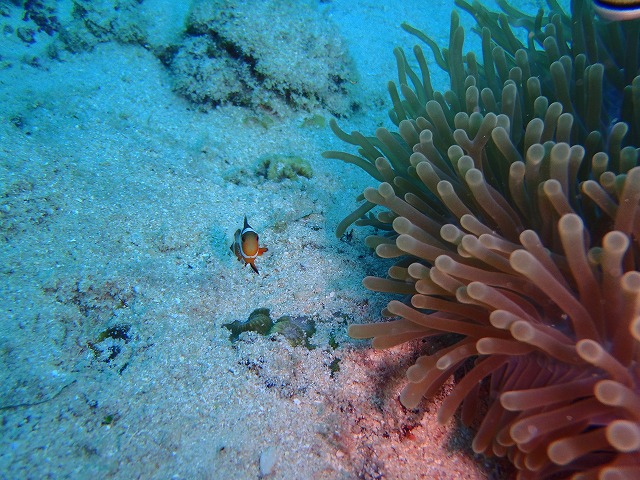 20151018165907.jpg 20151018165907.jpg