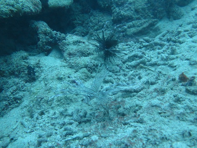 20151018165911.jpg 20151018165911.jpg