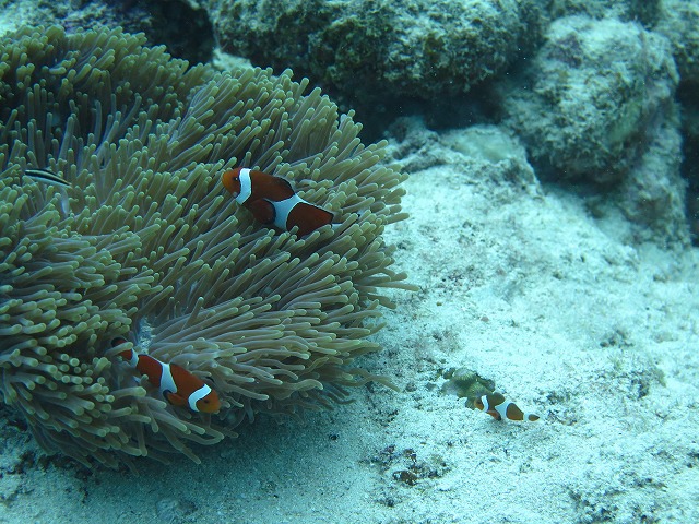 20151018165912.jpg 20151018165912.jpg