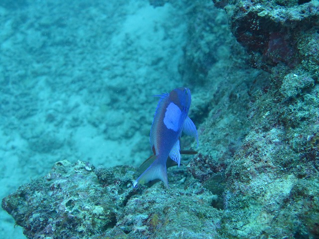 20151018165913.jpg 20151018165913.jpg