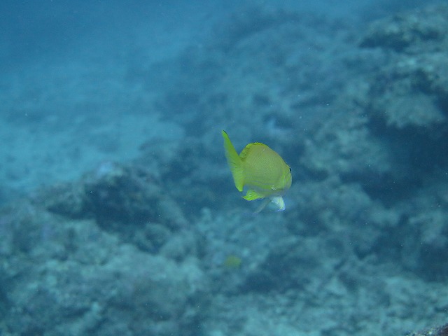 20151018165914.jpg 20151018165914.jpg