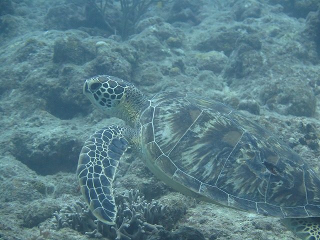 20151018165915.jpg 20151018165915.jpg