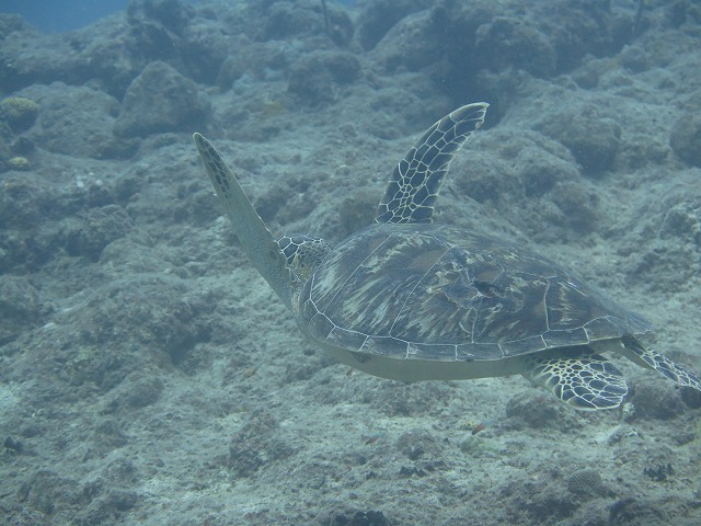 20151018165916.jpg 20151018165916.jpg