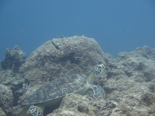 20151018165917.jpg 20151018165917.jpg