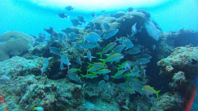 20151018165920.jpg 20151018165920.jpg