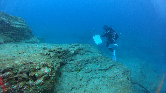 20151018165921.jpg 20151018165921.jpg