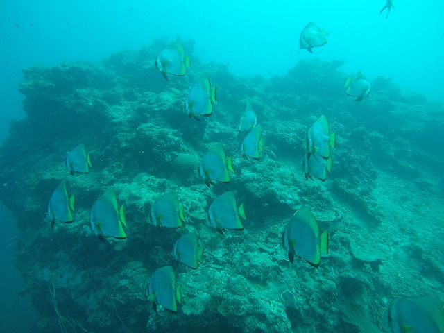 20151019164525.jpg 20151019164525.jpg