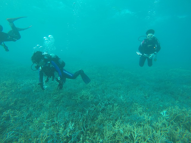 20151019164526.jpg 20151019164526.jpg