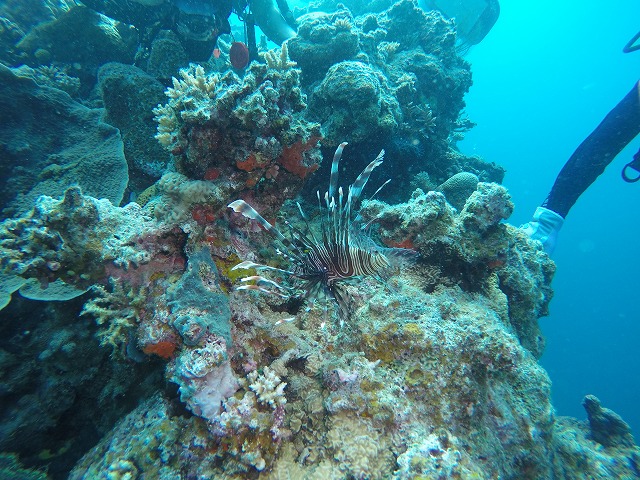 20151020162108.jpg 20151020162108.jpg