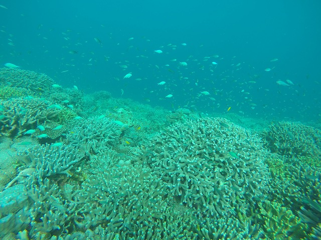 20151020162109.jpg 20151020162109.jpg