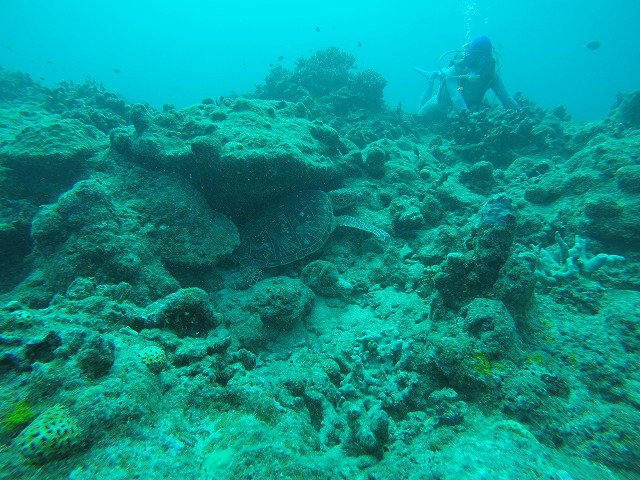 20151020162111.jpg 20151020162111.jpg