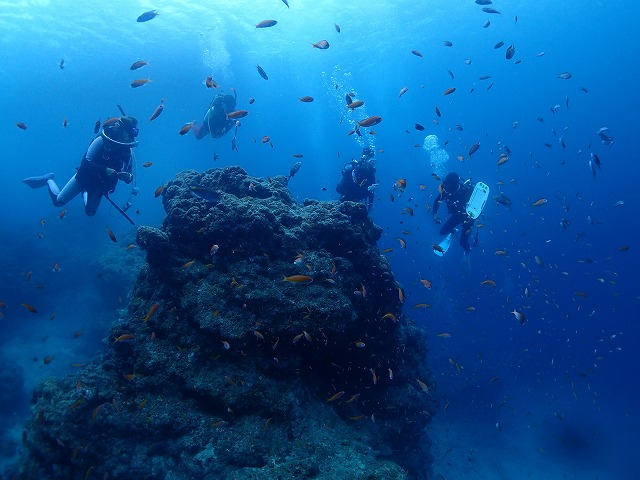 20151021145256.jpg 20151021145256.jpg