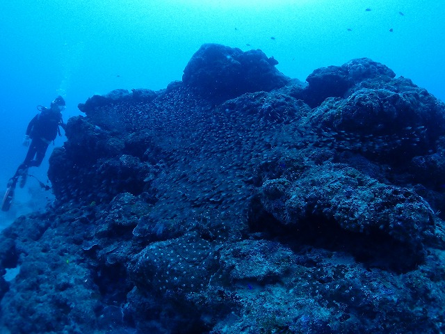 20151021151645.jpg 20151021151645.jpg