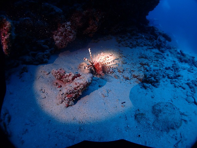 20151021151646.jpg 20151021151646.jpg