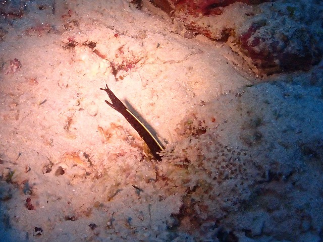 20151021151647.jpg 20151021151647.jpg