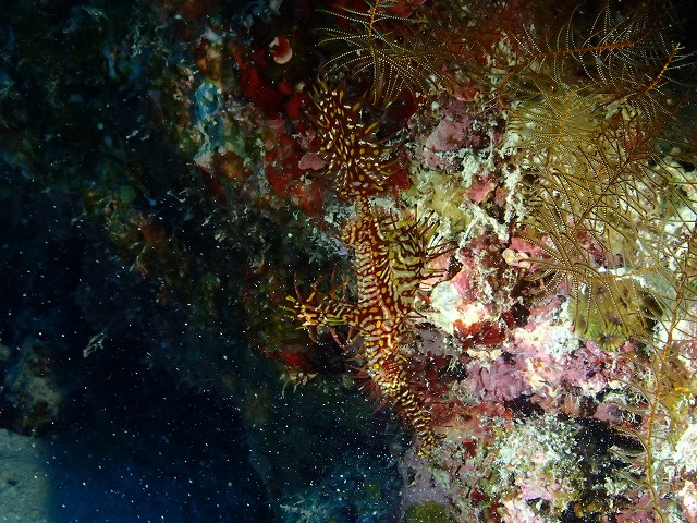 20151021151648.jpg 20151021151648.jpg