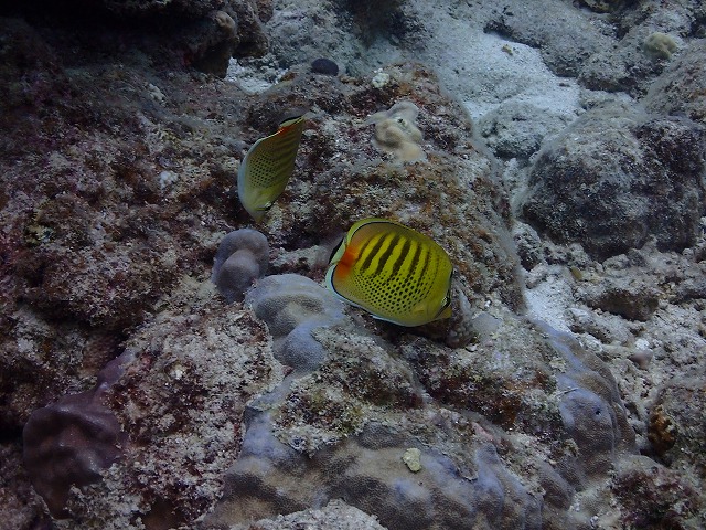 20151021151650.jpg 20151021151650.jpg