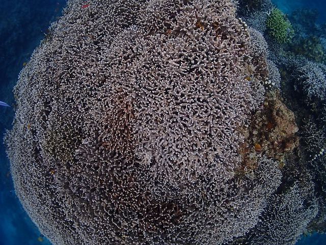 20151021151651.jpg 20151021151651.jpg