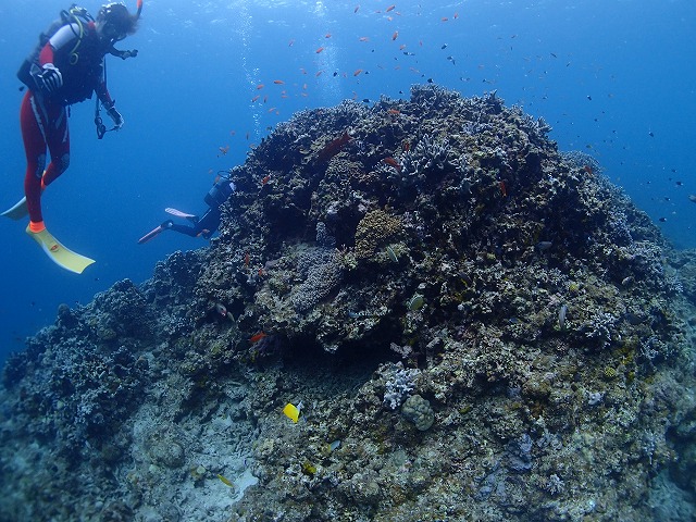 20151021152634.jpg 20151021152634.jpg