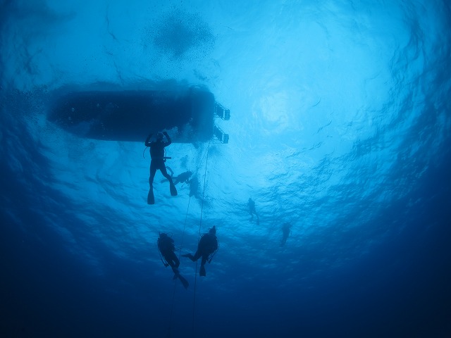 20151023181847.jpg 20151023181847.jpg