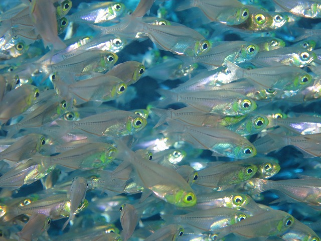 20151023181848.jpg 20151023181848.jpg