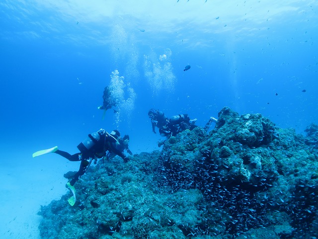 20151023181849.jpg 20151023181849.jpg