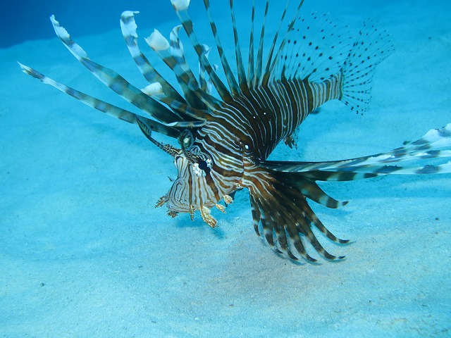 20151023181850.jpg 20151023181850.jpg