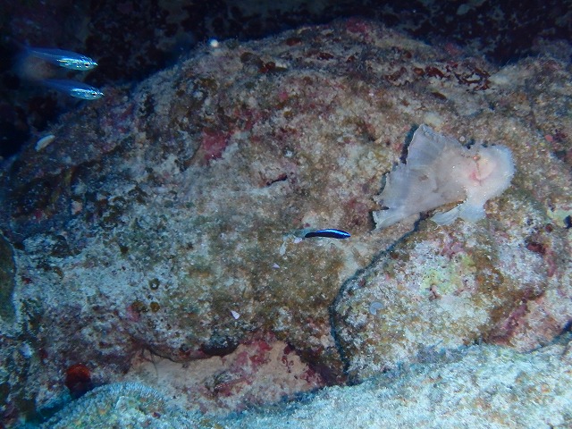 20151023181852.jpg 20151023181852.jpg