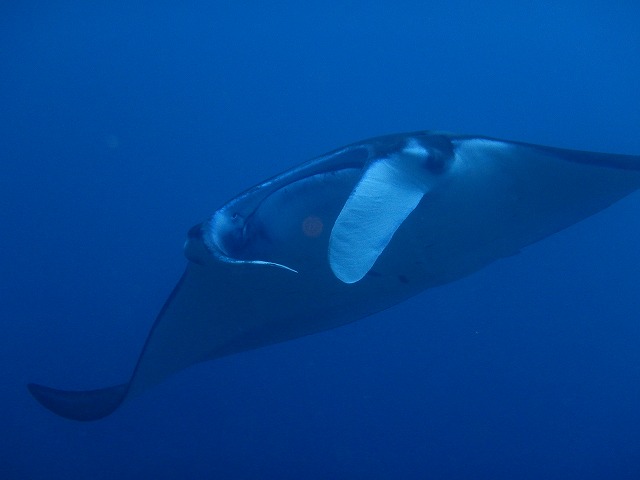 20151023181853.jpg 20151023181853.jpg